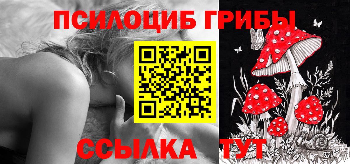 купить наркотик  Вход с VPN  Чехов  Псилоцибиновые грибы Magic Shrooms  Галлюциногенные грибы Magic Shrooms 
