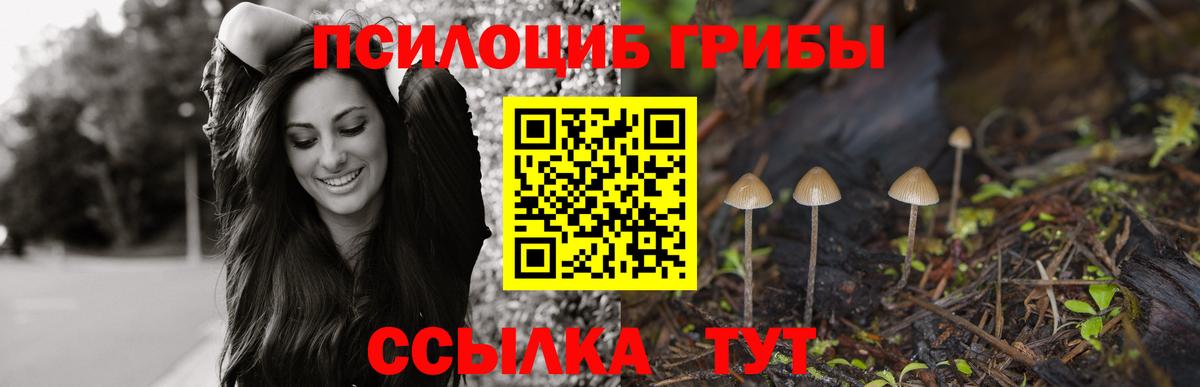 Галлюциногенные грибы Magic Shrooms Чехов